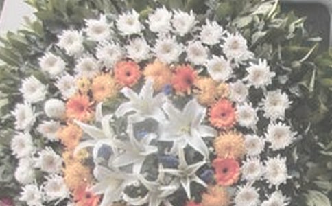 一纸荒凉祭奠青春初三抒情作文