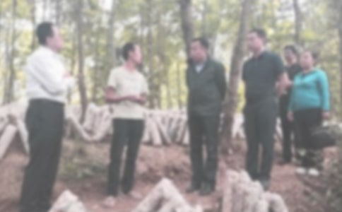 大学社联纪检部工作计划