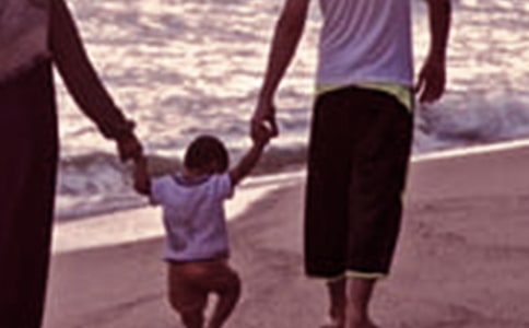 ��ͥ�������£����������������������