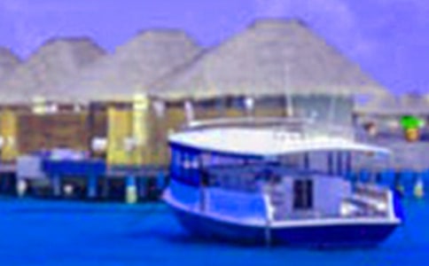 愉快的假期作文