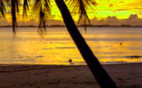 奇妙假期之《不能说谎的小镇》读后感