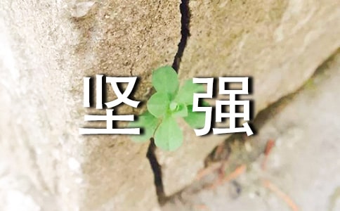 ��ǿ�Ľ���ʼ��������