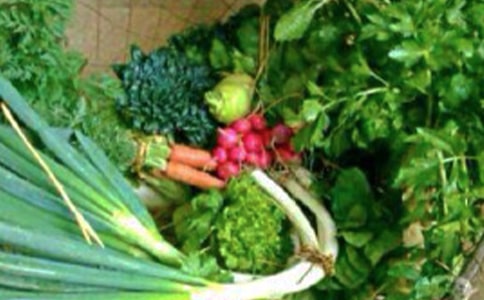 ����Ʒ�����ڽ�������������