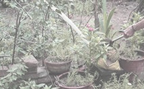 ���꼶�������ĺϼ�8ƪ