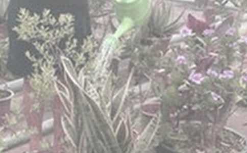 �й����꼶��������3ƪ