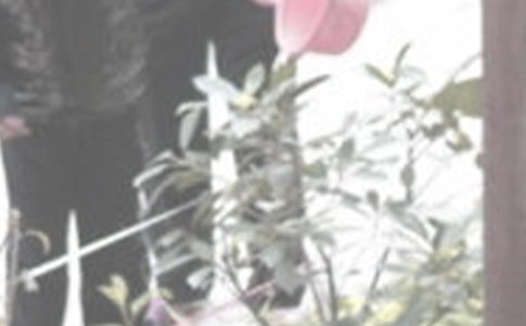 �������꼶����