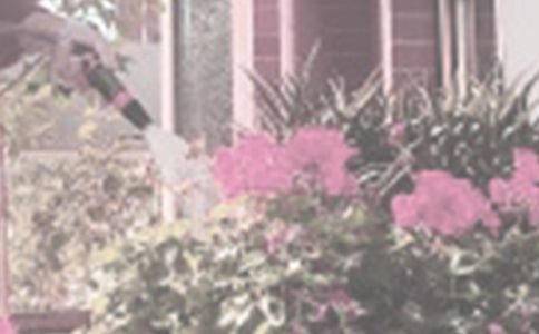 精选三年级浇花作文300字(通用44篇)