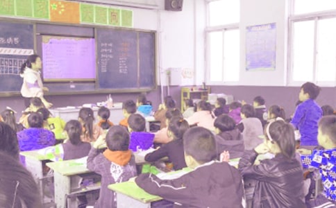 ������Ϣ������ѧ�ƻ�(����11ƪ)