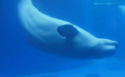 �����㡷���꼶��д����