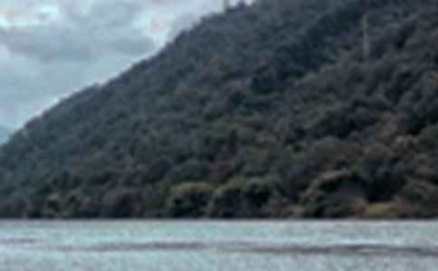 描写夜晚的景色的句子