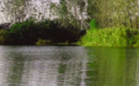 ��ɫ���꼶����300�ּ�����ƪ