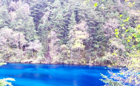 ��կ���μ�����800��