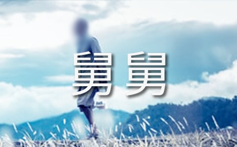 回忆我的舅舅散文