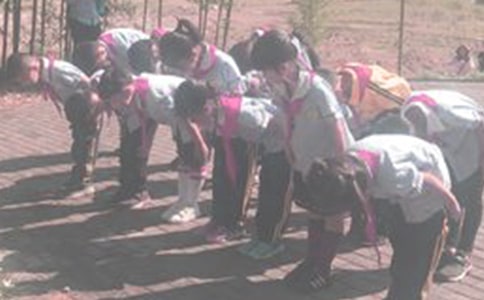 《向科学鞠躬》读后感范文