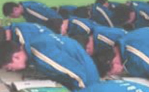 ������Ϲ�����