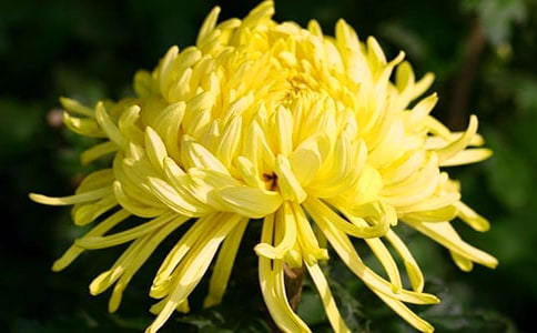 ��д�ջ��Ĺ�ʫ�䣨ͨ��220�䣩