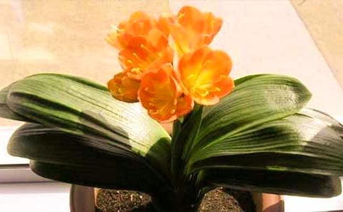 ������������250��