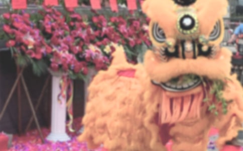 (����)����Ժ��ҵ�����ϰ��´�10ƪ