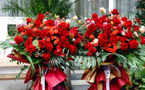 �Ƶ꿪�Ŷ���