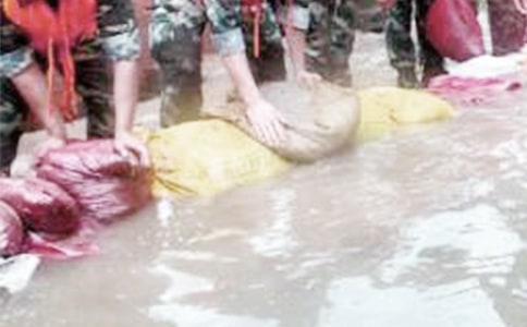 ������ֱ���