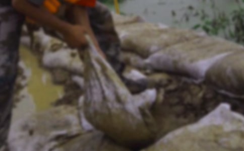 抗洪慰问物资标语170句