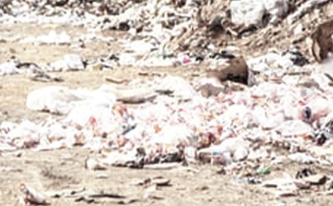 �������ļ�������