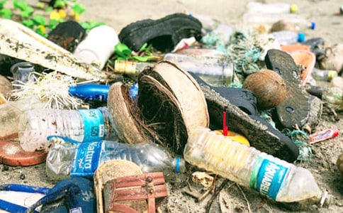 ���Ҷ�������������