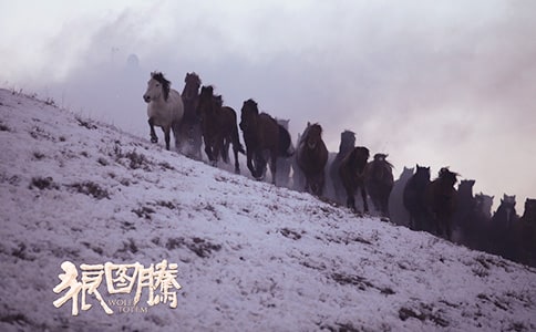 ����ͼ�ڡ������ͨ��15ƪ