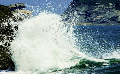 С�˻���ʪ���ҵ���ɢ�����