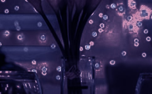 浪漫传说的语录48句