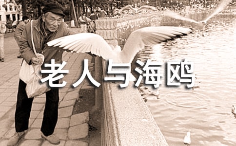 S�����꼶�����¡������뺣Ÿ����ѧ��