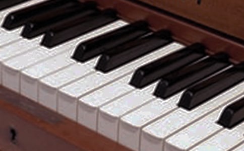 �������ĸ���������