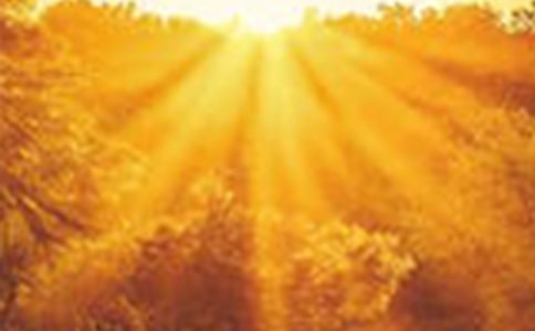 �������ĺӱߡ��ۺ�У�ͨ��10ƪ��