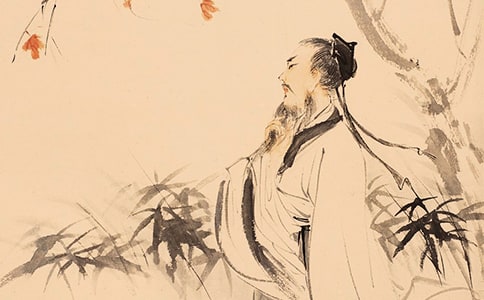 д��׵�����