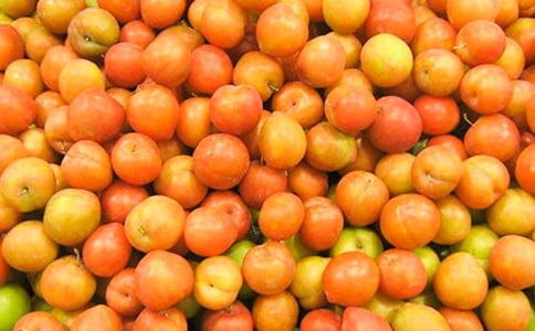 ���ӹ�����