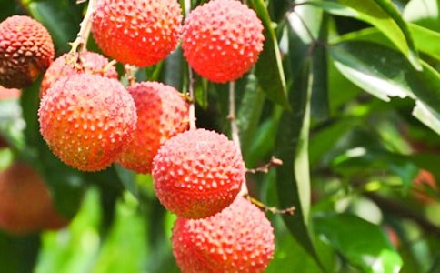 ��д�������֦����500�ַ���?