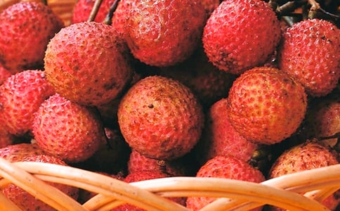 ��д��֦������