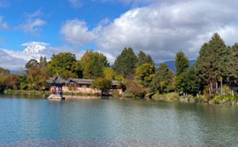 �����μ�����