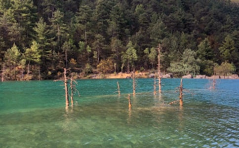 ��ͨ�á������ų�����