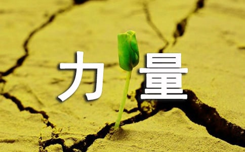 种子的力量优秀读后感范文(通用10篇)