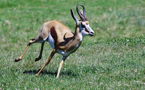 ������ľ�����꼶�����