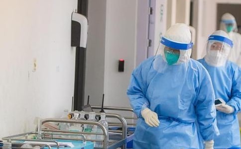 2023����Ԥ��������������