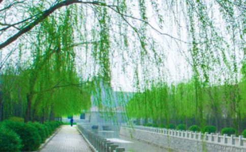 ��С������С��������ѧ��ƣ����꼶�ϲᣩ