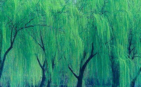 2024�����������ľ���25��