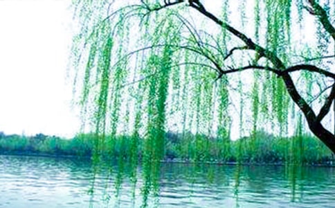 ��ѡ���꼶���������ĺϼ���ƪ