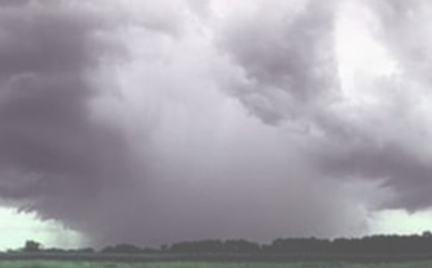 龙卷风观后感大全(5篇)