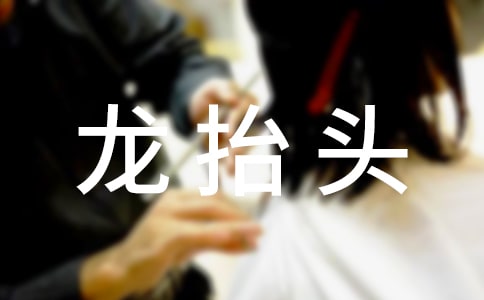 龙抬头主题活动方案(通用13篇)