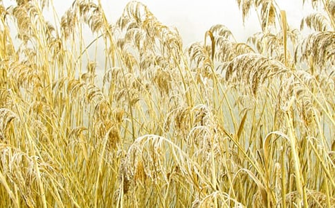 ����«έ��һд������