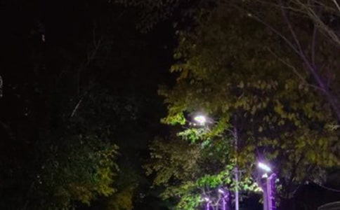 ·�����꼶����ͨ��7ƪ