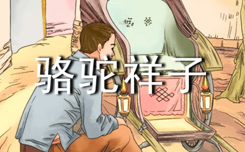 ����С˵���������ӡ��ôʺþ�